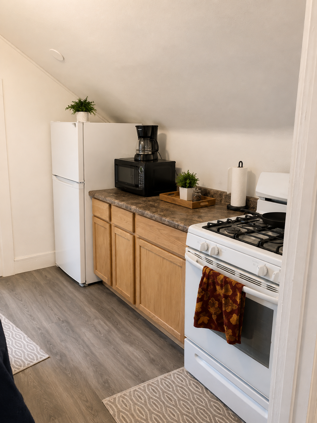1445 Caledonia Street - 3